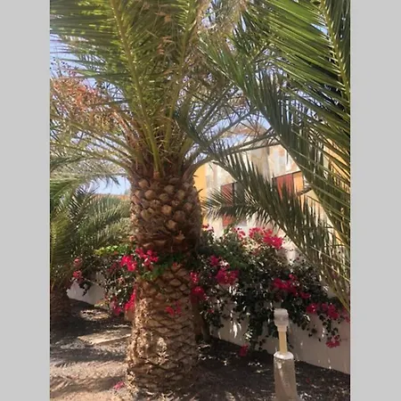 Апартаменты Summer Complex Amaya Fuerteventura *