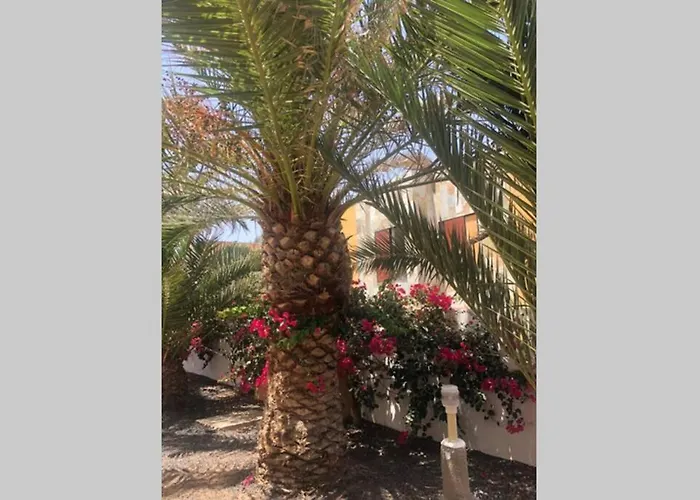 Apartamento Summer Complex Amaya Fuerteventura *